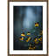 " Moody And Bright " by F2images-110414951-110414946