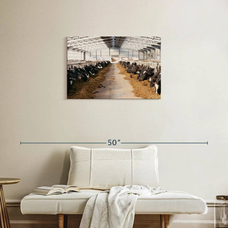 Vaches en grange, H 20 po x l 30 po