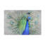 Art sur toile Yuzheng Ren Peacock-93232059