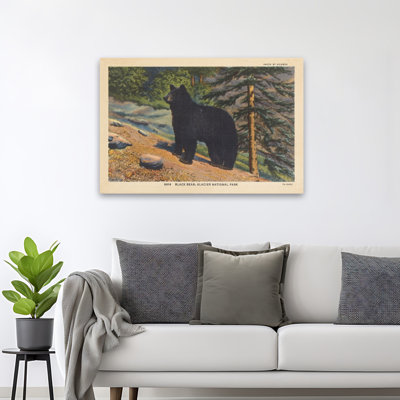 Black Bear I - 0 Art