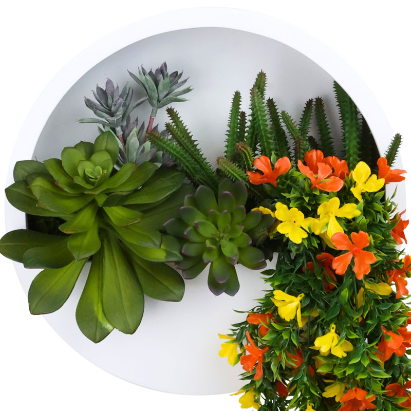 Jardinière murale suspendue avec Sedum et plantes succulentes Echeveria, Orange/Yellow