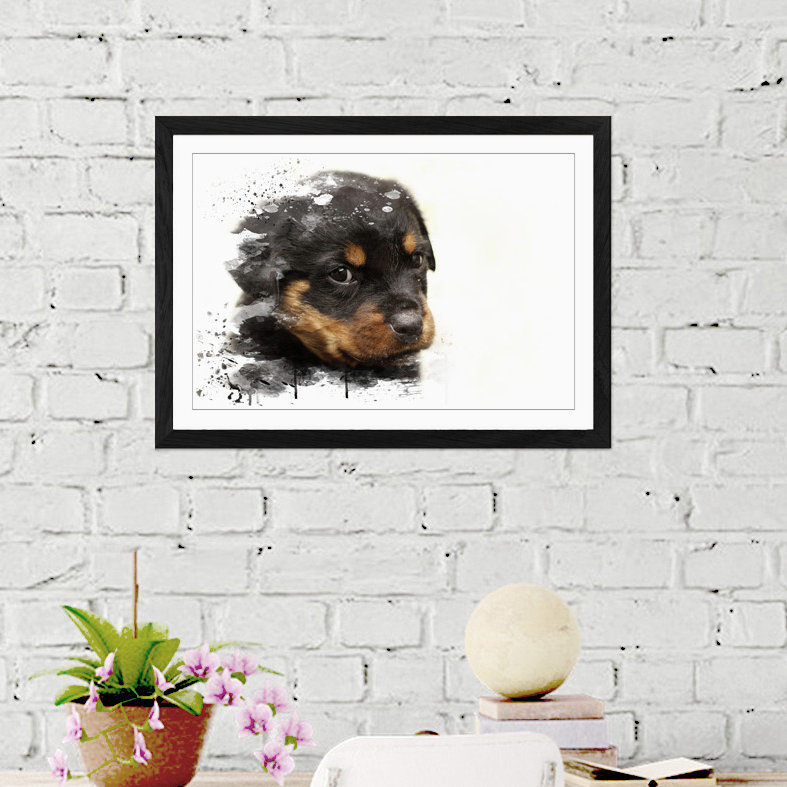 Rottweiler Puppy Dog - Wall Art, 45cm H x 62cm W, Framed Picture