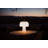 The Boleti Lamp
