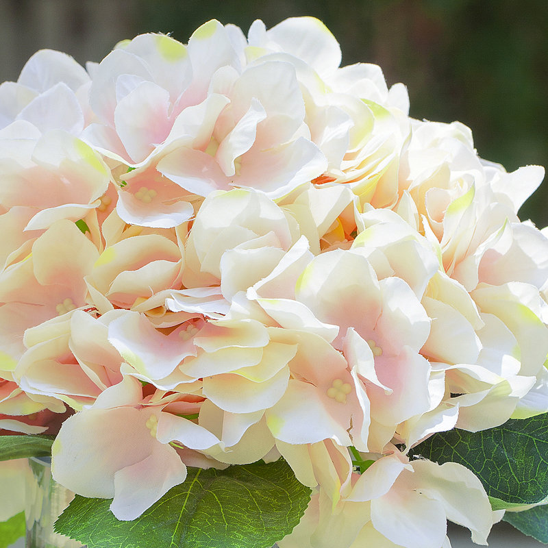 Hortensias en vase, Pêche