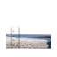 Tapis en laine Unique Loom Whale-102893013