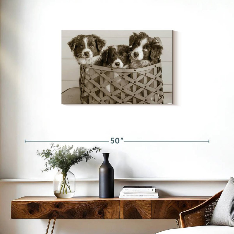 Brampt What A Cute Bundle, 20" H x 30" W