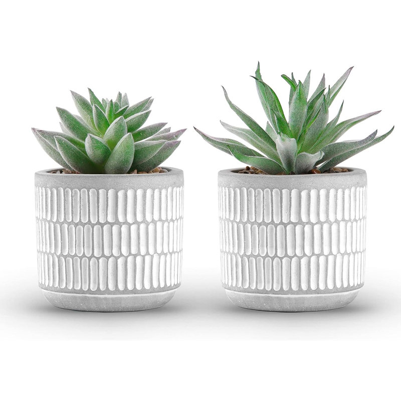 Cloche artificielle ou globe d'eau Ladeja Succulents Plants