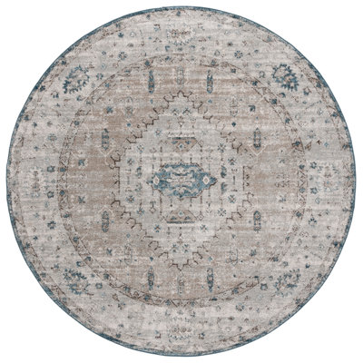 Koleman Vintage Tabriz Performance Oriental Rug