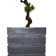 Panama 59" Artificial Bonsai Tree in Planter