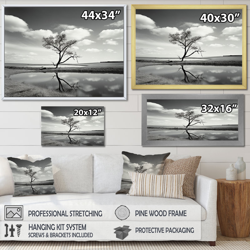 Photographie d'un arbre noir et blanc au bord du lac, Cadre flottant blanc, 12" H x 20" W
