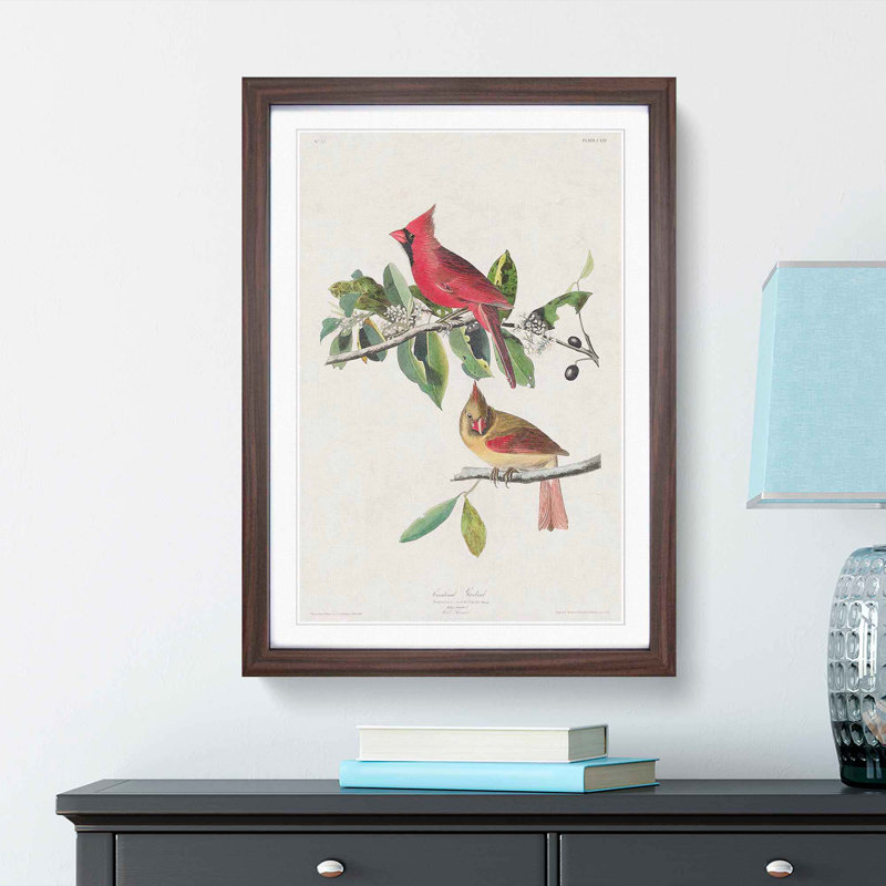 Cardinal Grosbeak Birds by John Audubon - Picture Frame Painting Print, 65cm H x 48cm W x 2cm D, Walnut Framed