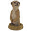 Statue trou dans un suricate africain
