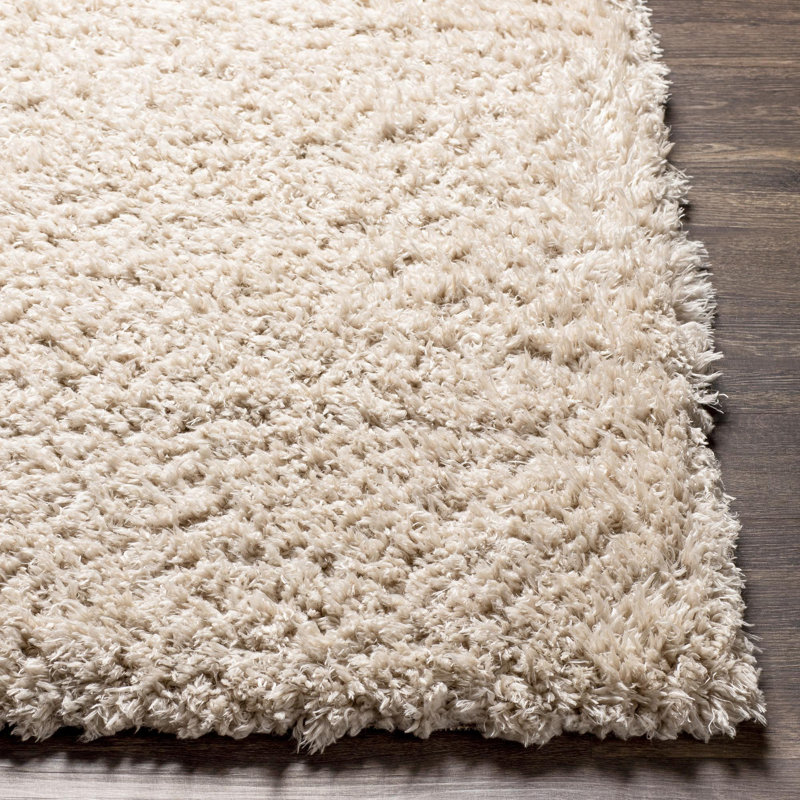 Tapis beige Gilkey, Rectangle 5 pi 3 po x 7 pi