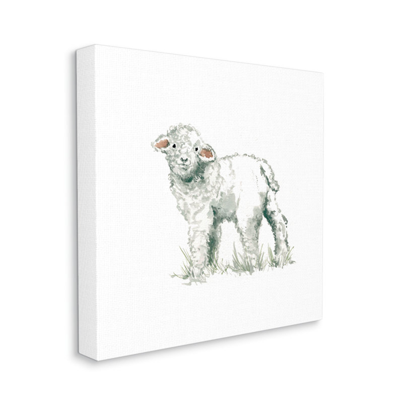Fluffy Baby Sheep, Toile tendue, H 36 po x l 36 po x P 1,5 po
