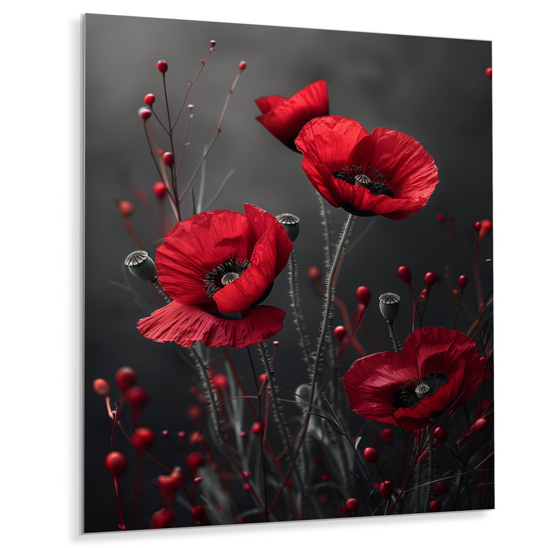 Délicat rouge coquelicots monochromes photo II - coquelicots, art mural, Métal métal, H 32 po x l 24 po x P 1 po
