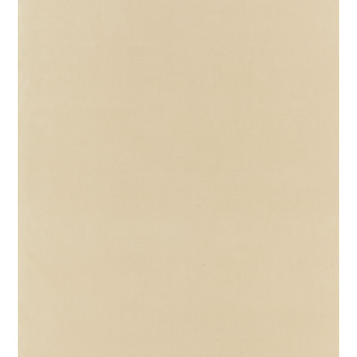 Polyester Performance Fabric