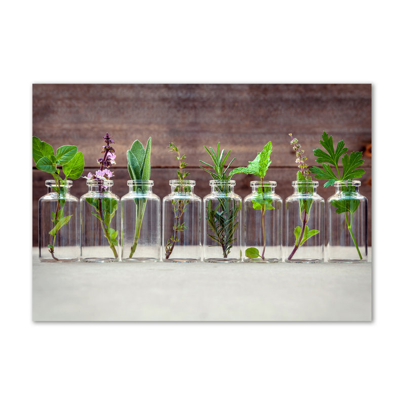 Plants In Jars - Wrapped Canvas Print