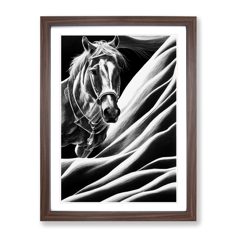 Monochrome Horse No.4 - Framed Print, 64cm H x 46cm W x 2cm D, Walnut