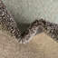 Tapis bleu Dews-2108891423