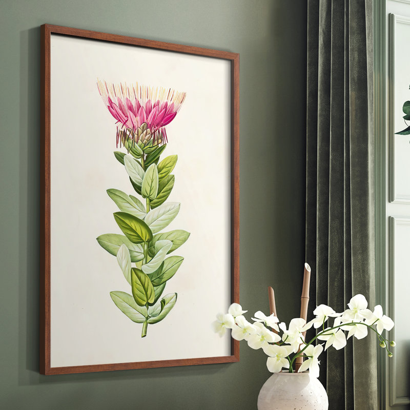 «Pretty Pink Botanicals IV», reproduction encadrée - bois massif, Brun, H 14 po x l 11 po