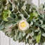 Dried 42cm Wreath