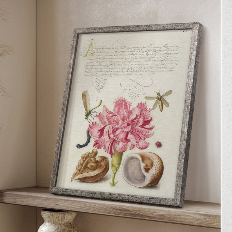 Hoefnagel Tropical Specimens VI Framed Print - Solid Wood, 30" H x 24" W
