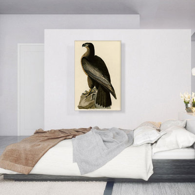 «Bald Eagle Bird of Washington» par James Audubon, reproduction d'art sur toile tendue