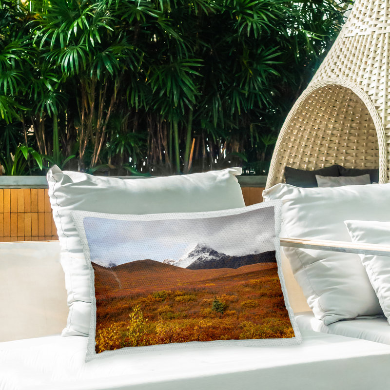 Outdoor Throw Pillow