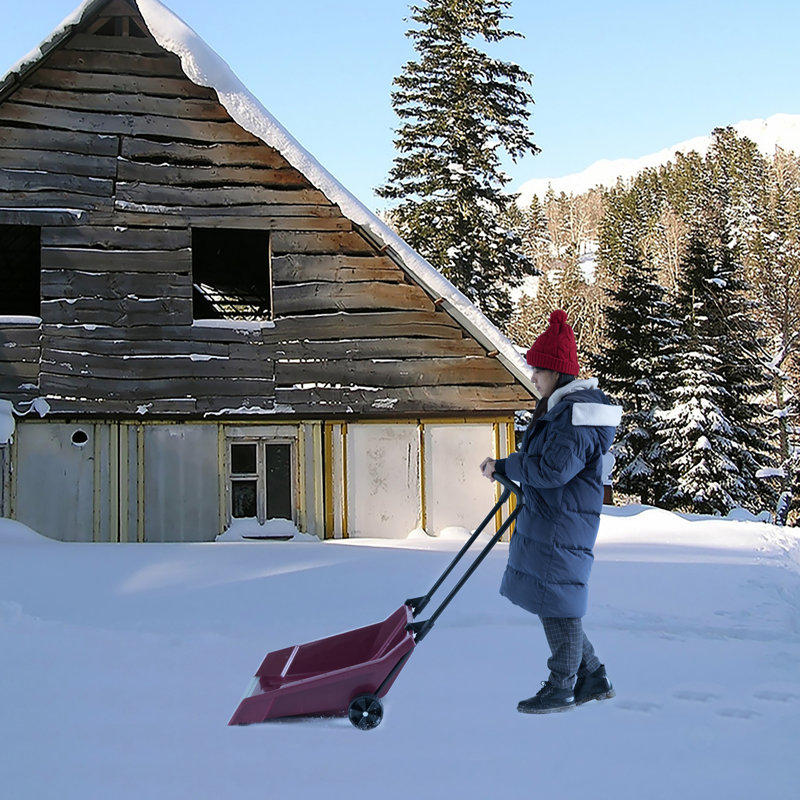 Heavy Duty Snow Rolling Remover