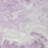 Machine Washable Indoor/Outdoor Cinead ACN1687 Lavender Rug-104738265