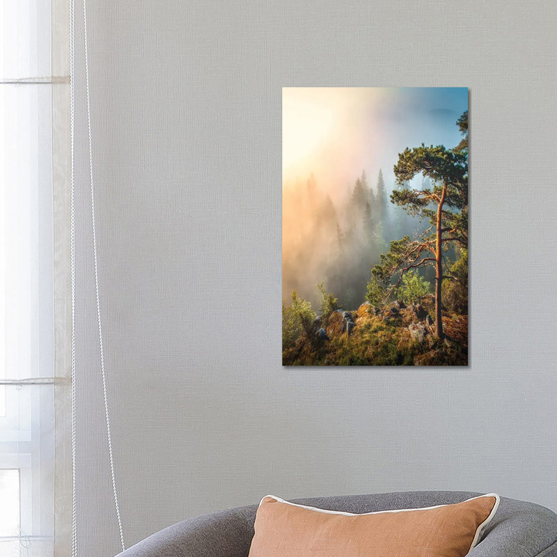 Morning Haze by Lauri Lohi - Wrapped Canvas Print, 66.04 cm H x 45.72 cm W x 1.91 cm D