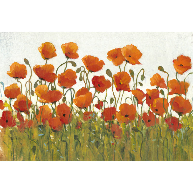 Rangées de coquelicots I, H 24 po x l 36 po x P 1,25 po, Non, Unframed