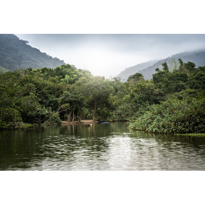 Mata Atlantica - Wrapped Canvas Print