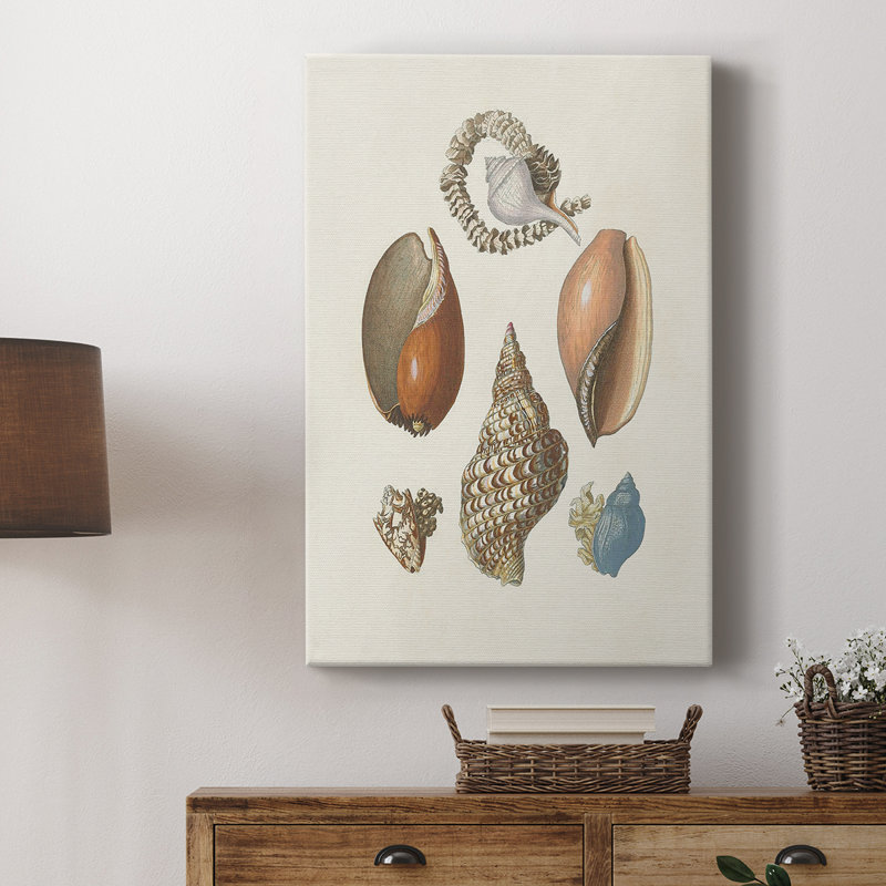 Knorr Shells & Coral I - galerie sur mesure Cavas, H 48 po x l 32 po