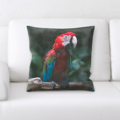 Coussin Ashliek