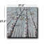 Art mural sur toile Birch