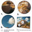 " Greece Acropolis Majesty "-195588119-195588118