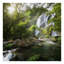 Mountain Stream - Wrapped Canvas Print-279351232-301068199