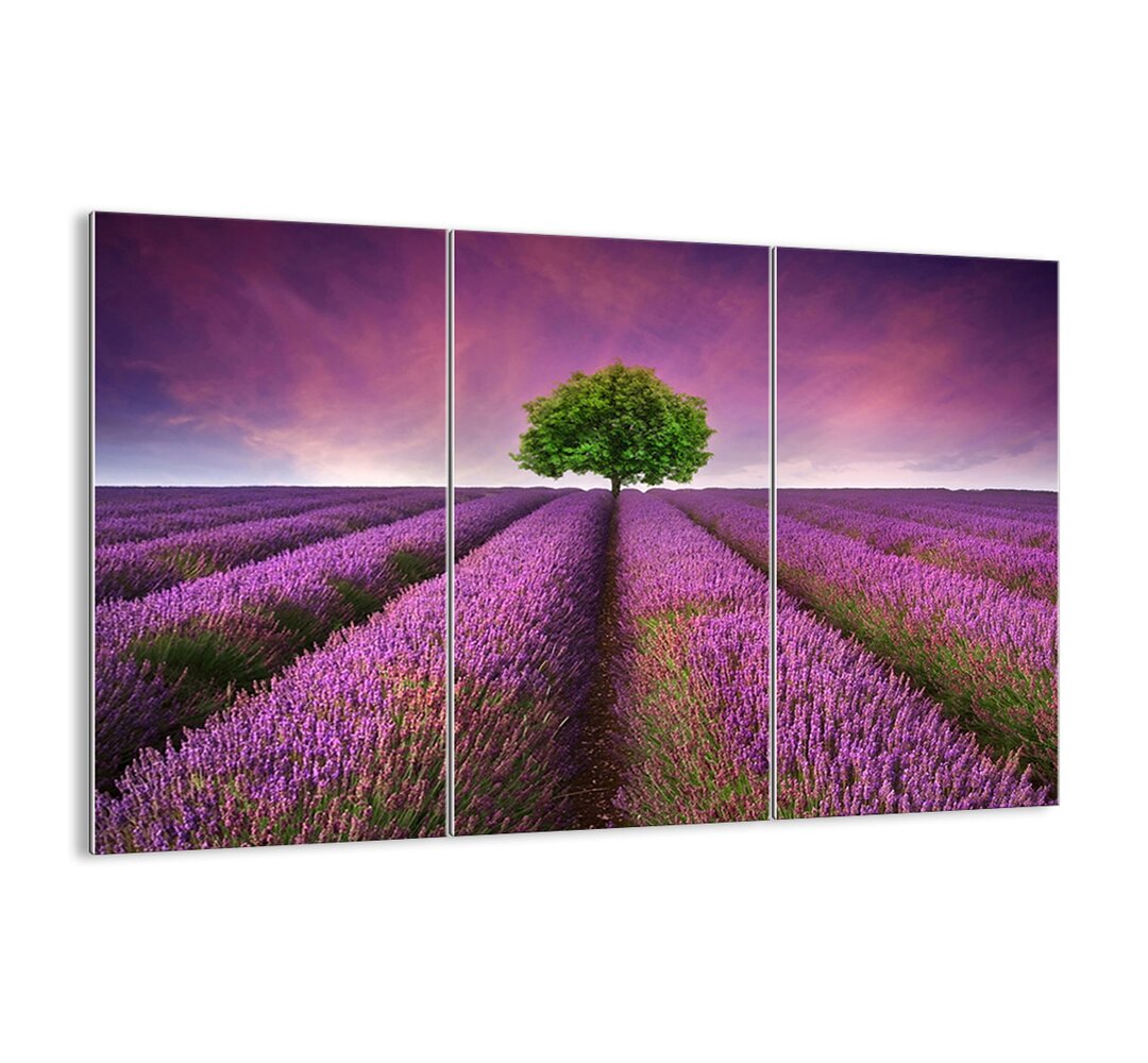 3-tlg. Glasbilder-Set - Fotografie „In Lavender Fields”