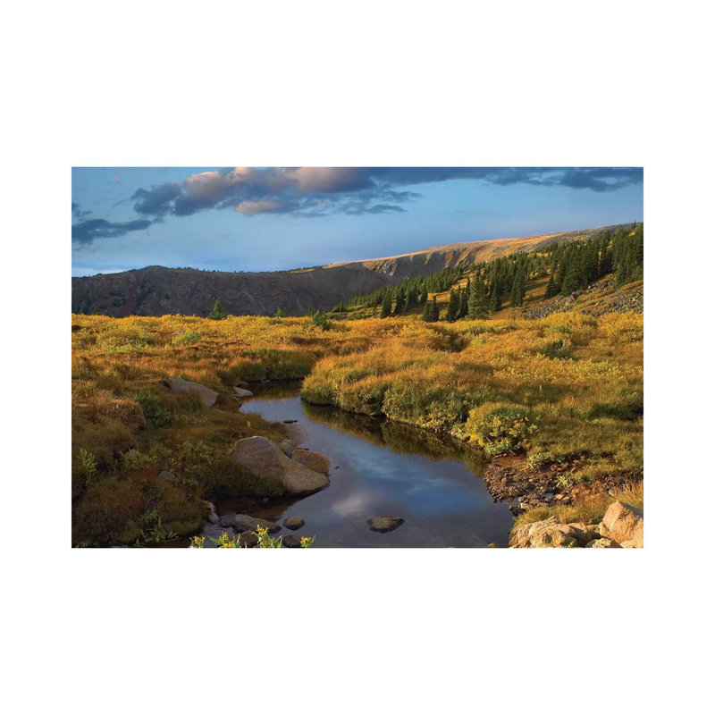 Ponderosa Pine Trees In Prairie Landscape, Black Hills, South Dakota by Tim Fitzharris - Wrapped Canvas Print