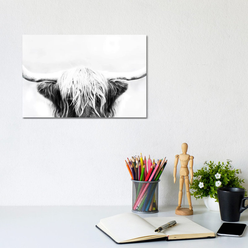Longhorn by Danita Delimont - Print on Canvas, 20.32cm H x 30.48cm W x 1.91cm D, Wrapped Canvas