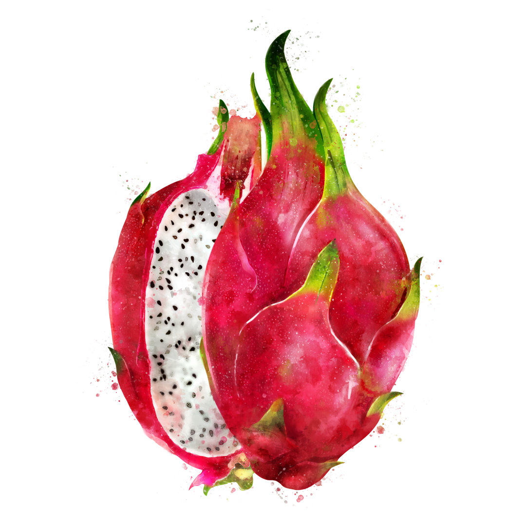 Dragon Fruit von ConceptCafe - Kunstdrucke auf Leinwand