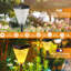 Huotian Solar Outdoor LED Garden Lights,Waterproof,Warm White OR Gradient Colour(Set Of 2)