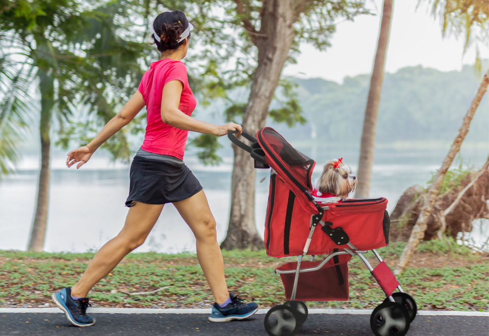 Paw-fect Pet Strollers