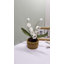 Arrangement de fleurs artificielles 2025-2037033422