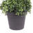 Wolfdale Artificial Potted Green Boxwood Spiral Tree-1613773502