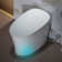 One Piece Smart Bidet Toilet with Auto Open/Close,Foot Kick Sensor Open&Fush,Auto Flush,Heated Seat