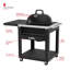 Chariot-grill à table avec tablettes latérales Nexgrill