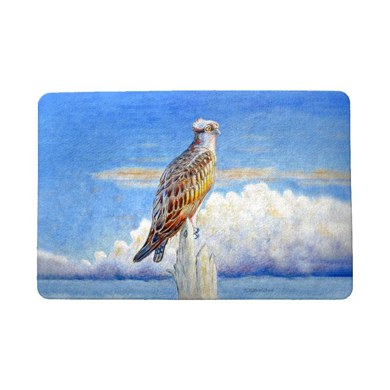 Longe Non-Slip Doormat