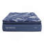 Noyau SKY QUEEN POCHET 14 po-1041451781